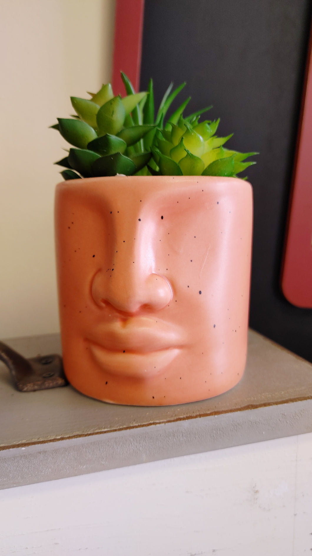 Succulent filled face planter