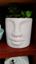 Load image into Gallery viewer, Succulent filled face planter
