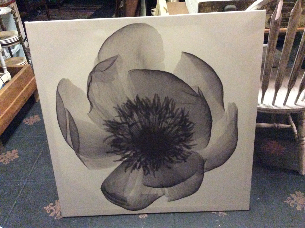 Black and white flower canvas
