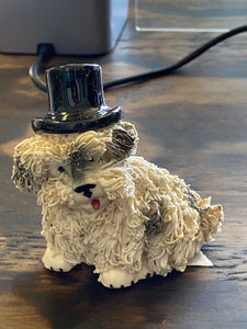 small top hat dog